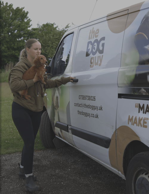 Female dog trainer holding a small dog and opening a branded training van for one to one mobile dog training services in the UK.